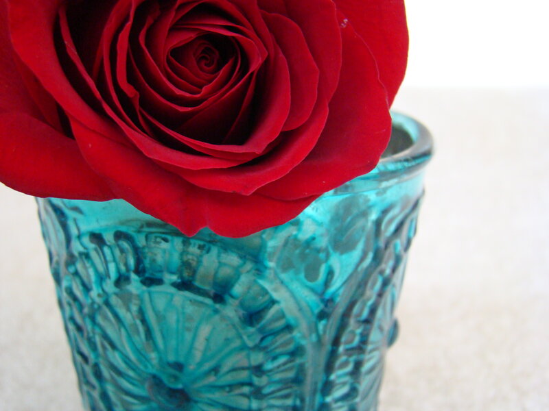 Red Rose in Vase — Calm, Photograph, Flower