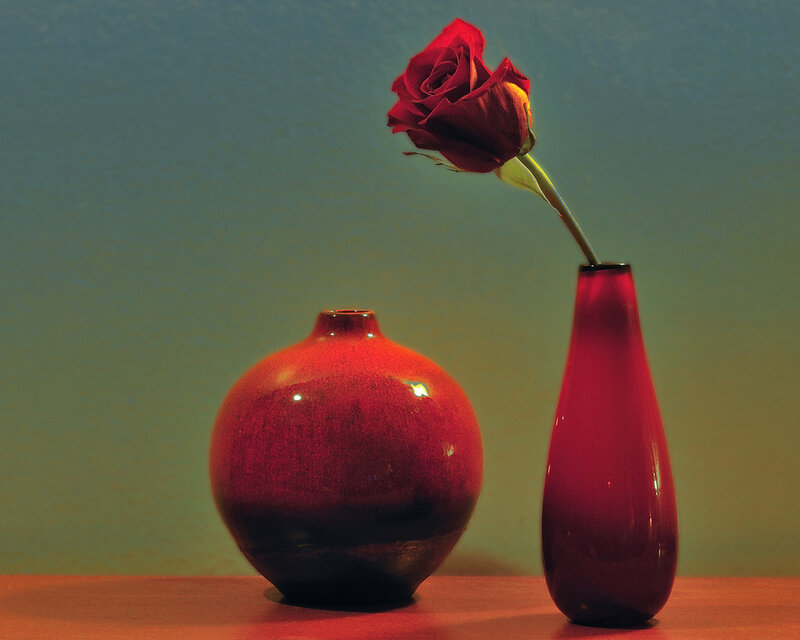 Red Rose in Vase — Calm