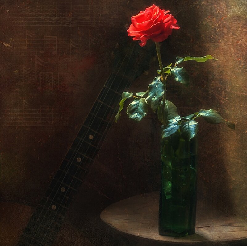 Red Rose in Vase — Dramatic, Photograph, Guitar
