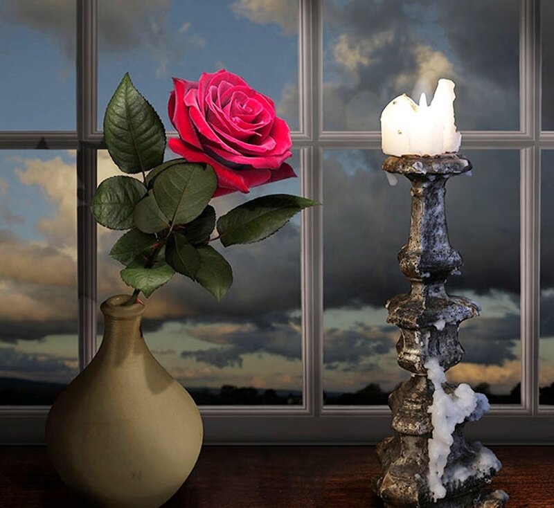 Red Rose in Vase — Dramatic, Sunset