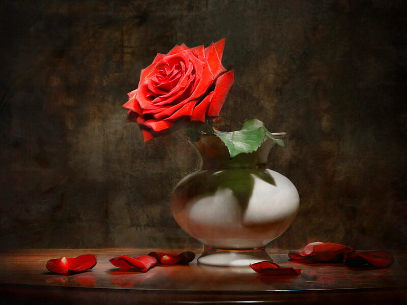Red Rose in Vase — Dramatic