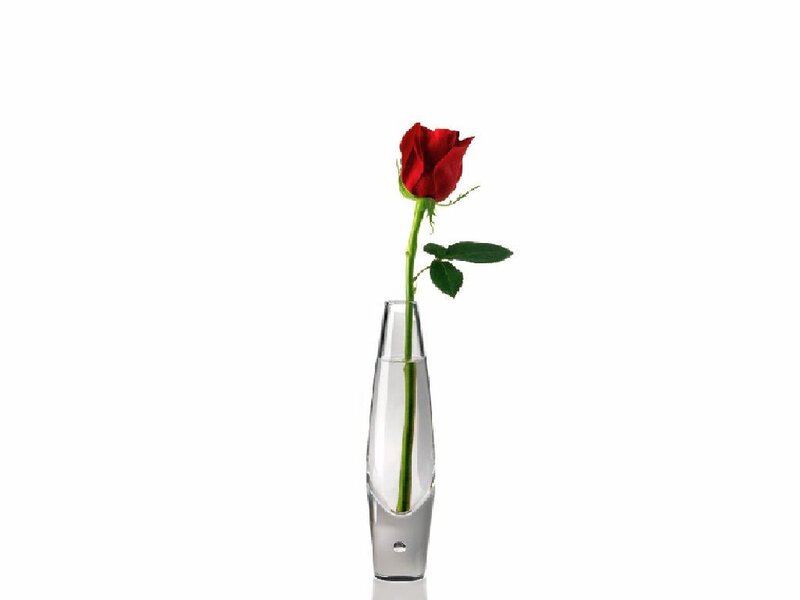 Red Rose in Vase — Minimalist