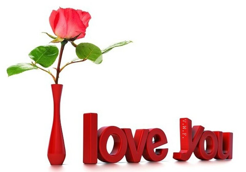 Red Rose in Vase — Romantic, 3d Render