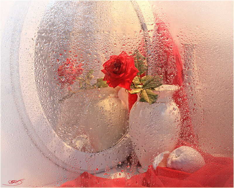 Red Rose in Vase — Serene, Digital Art