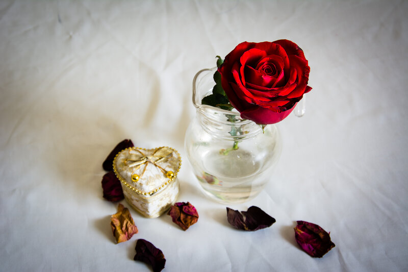Red Rose in Vase — White, Serene, Photograph, Heart-shaped Box