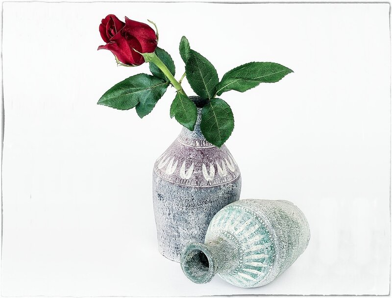 Red Rose in Vase — White, Serene