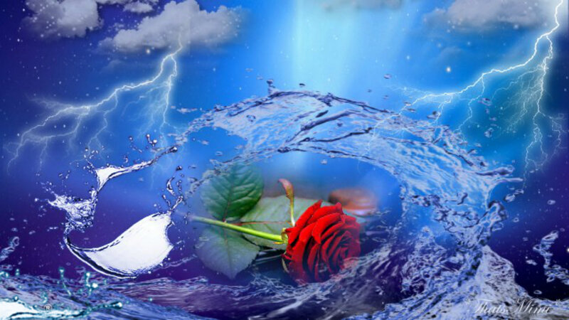 Red Rose in Water — Blue, Dramatic, Digital Art