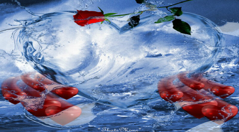 Red Rose in Water — Blue, Dramatic