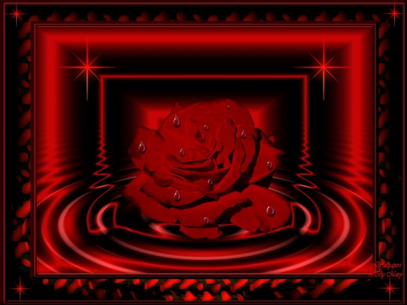 Red Rose in Water — Dramatic, Digital Art, Water Droplets
