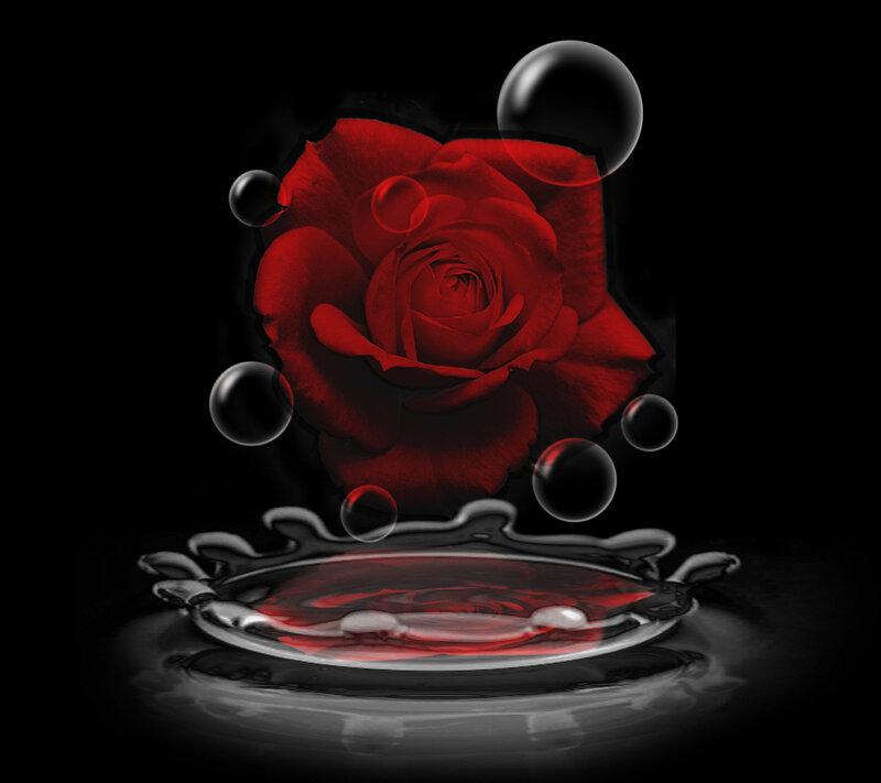 Red Rose in Water — Dramatic, Photograph, Bubbles