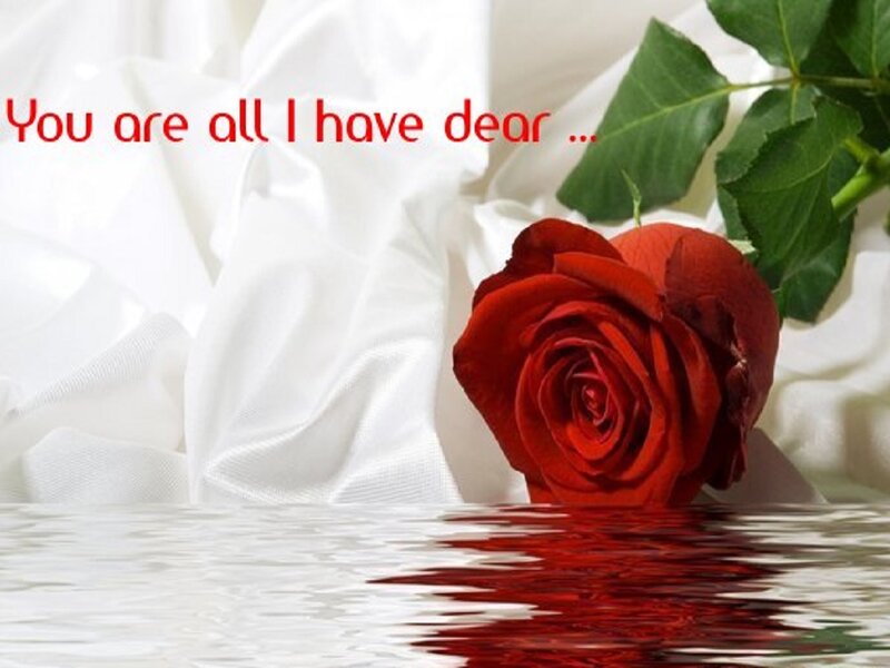 Red Rose in Water — Romantic