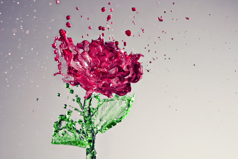 Red Rose Made of Liquid
