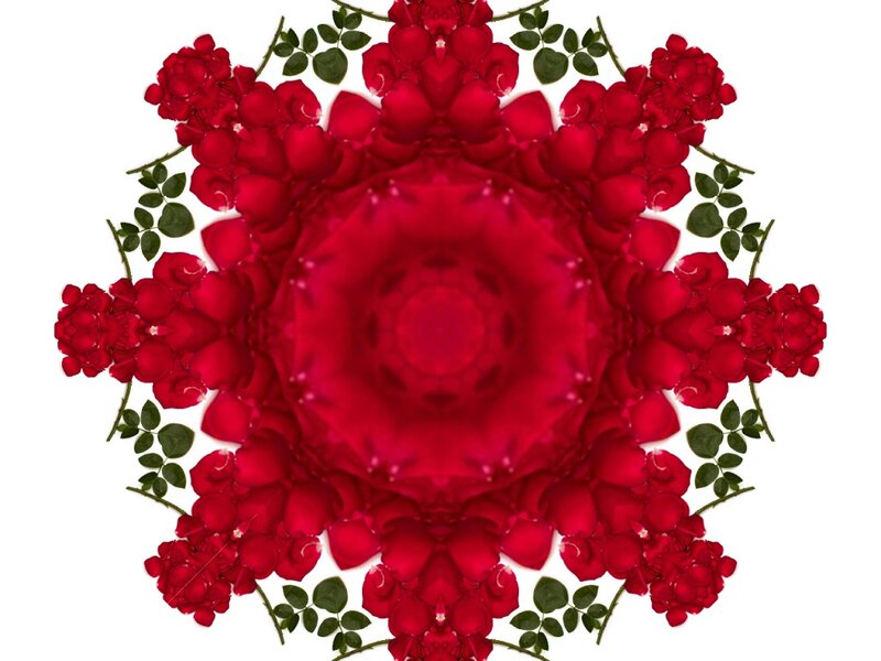 Red Rose Mandala — Symmetrical
