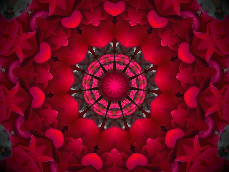 Red Rose Mandala