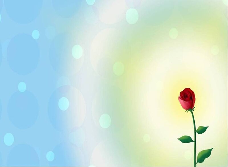 Red rose on a colorful background