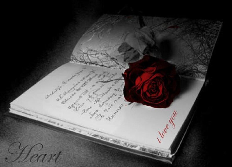 Red rose on a journal