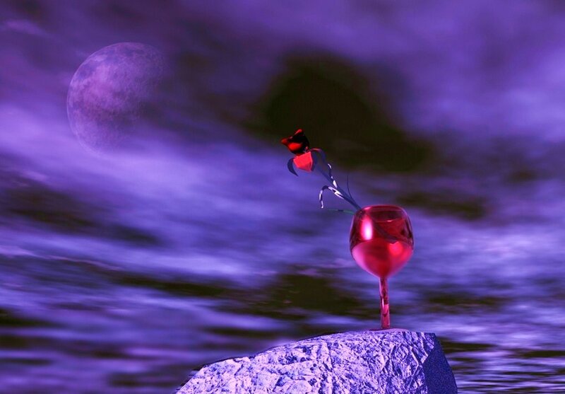 Red rose on a rock