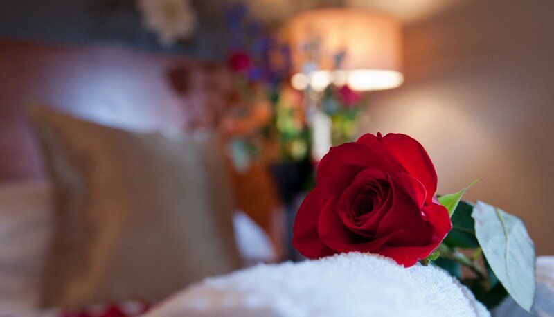 Red rose on a towel
