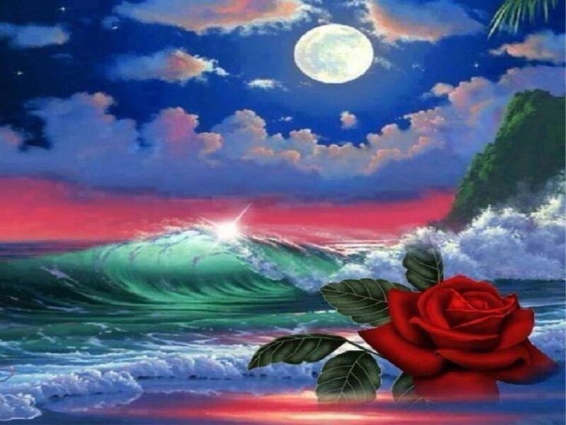 Red Rose on Beach — Blue