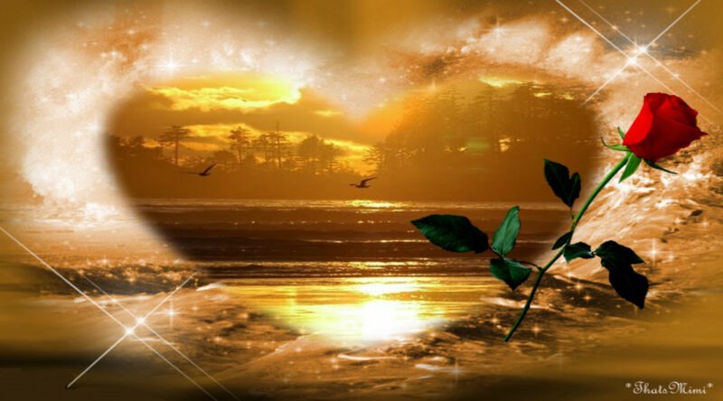 Red Rose on Beach — Gold