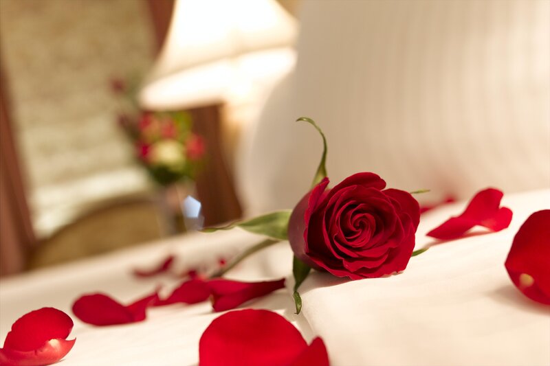 Red Rose on Bed — Romantic, Photograph