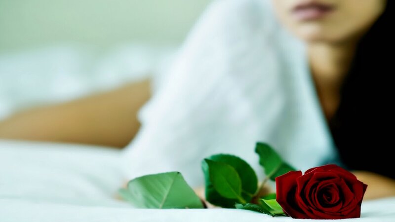 Red Rose on Bed