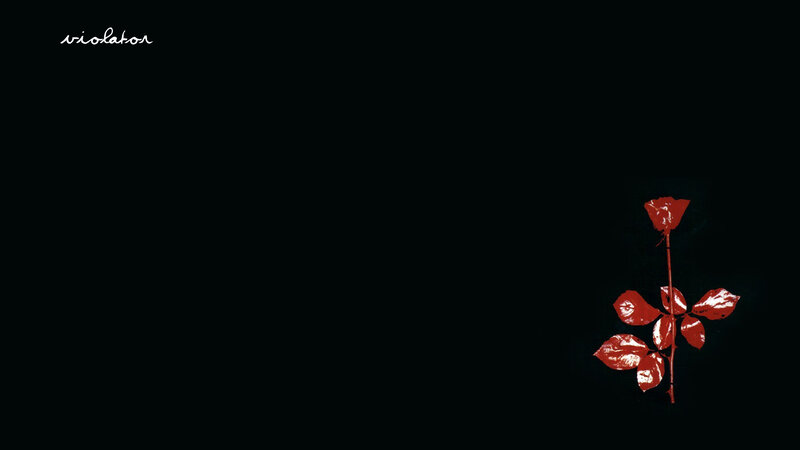 Red rose on black background