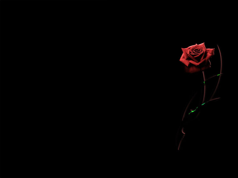 Red Rose on Black Background — Dramatic, Digital Art, Stem