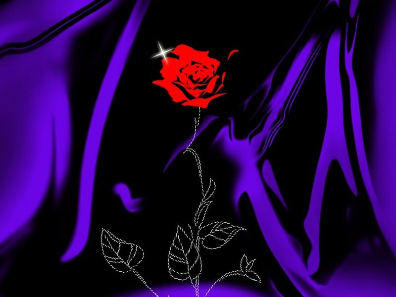 Red Rose on Black Background — Dramatic, Digital Art
