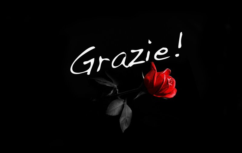 Red Rose on Black — Dramatic, Photograph, Leaves, Text
