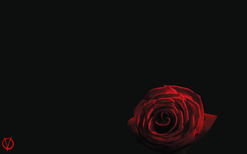 Red Rose on Black — Dramatic, Photograph, Logo