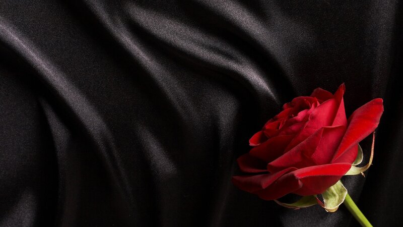 red rose on black fabric
