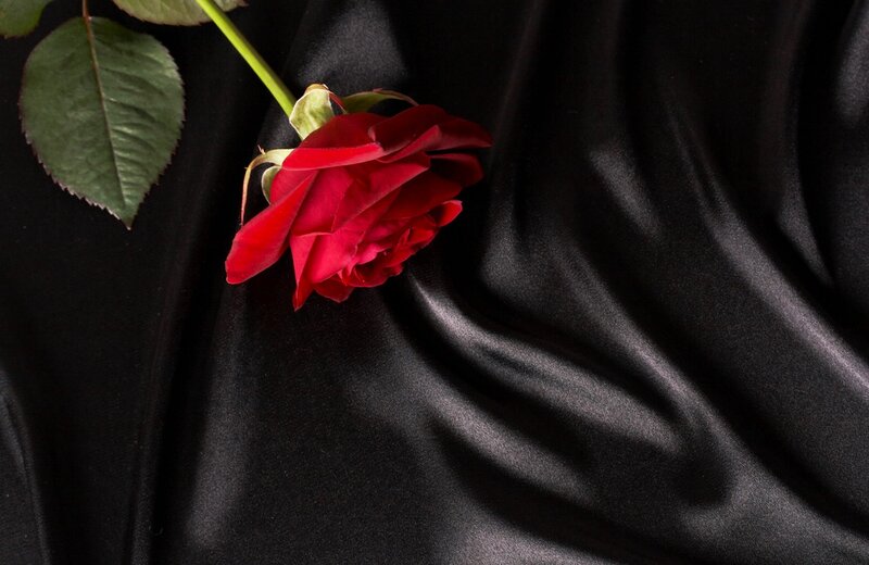 Red Rose on Black Fabric — Dramatic, Photograph, Stem
