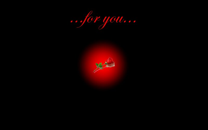 Red Rose on Black — Romantic, Night