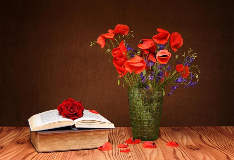 Red Rose on Book — Brown