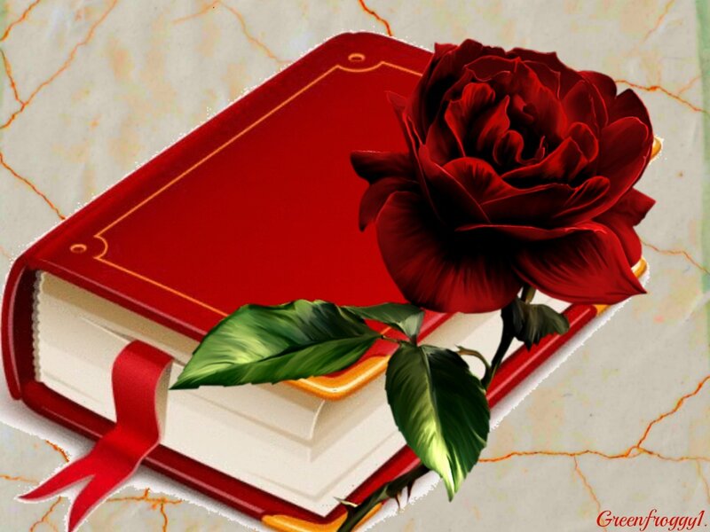 Red Rose on Book — Calm, Digital Art