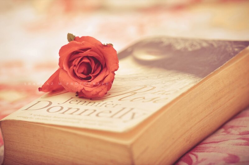 Red Rose on Book — Calm, Photograph, Fabric
