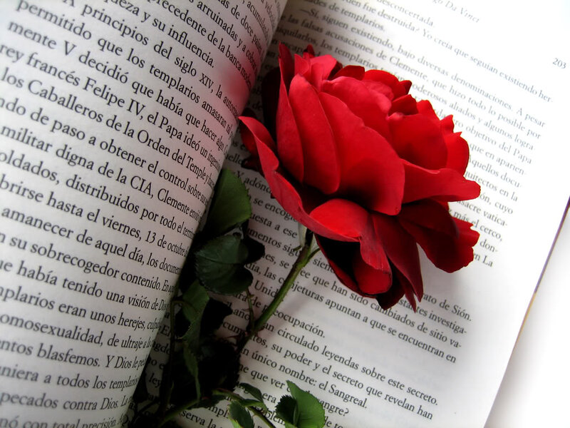 Red Rose on Book — Calm, Photograph, Leaves