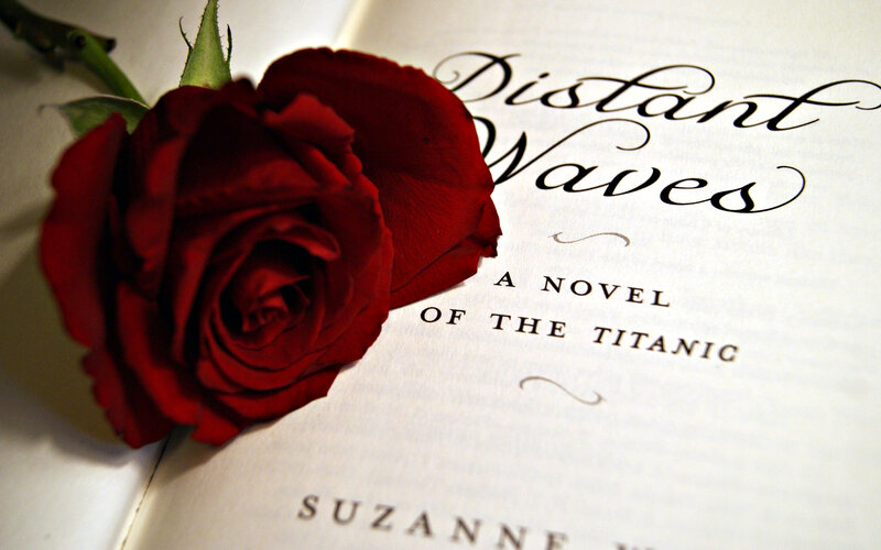 Red Rose on Book — Calm, Photograph, Stem