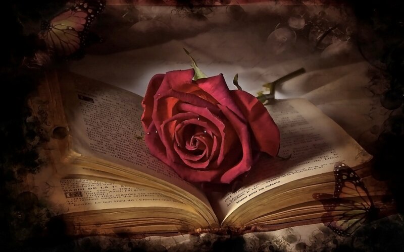 Red Rose on Book — Dramatic, Digital Art, Butterfly