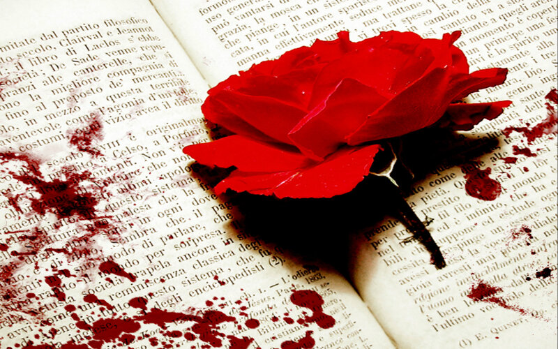 Red Rose on Book — Dramatic, Photograph, Blood
