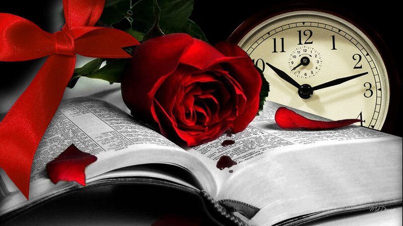 Red Rose on Book — Dramatic, Photograph, Clock