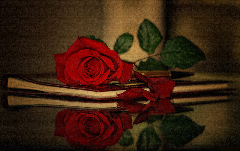 Red Rose on Book — Dramatic, Photograph, Pen