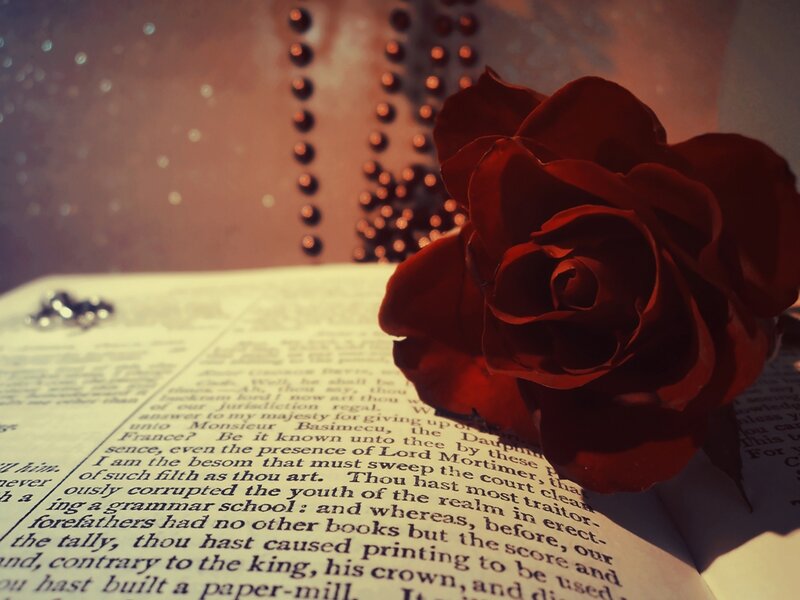 Red Rose on Book — Dramatic, Photograph, Rosary Beads