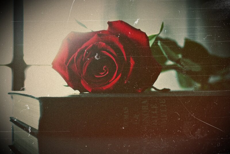 Red Rose on Book — Dramatic, Photograph, Stem
