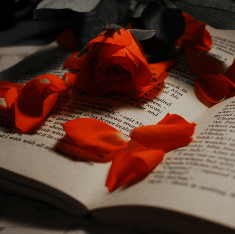 Red Rose on Book — Orange
