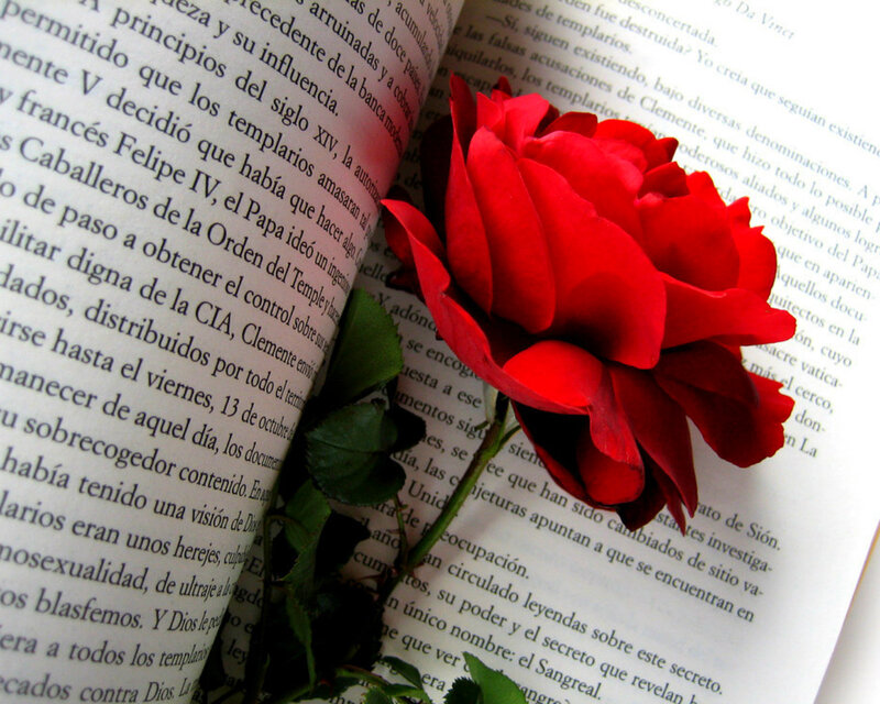 Red Rose on Book Page — Calm, Photograph, Green Leaves