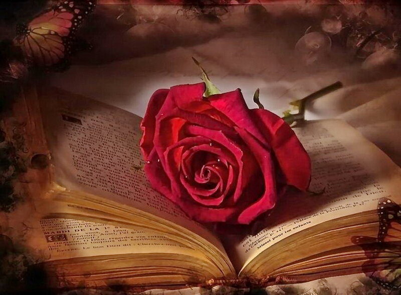 Red Rose on Book — Romantic, Digital Art