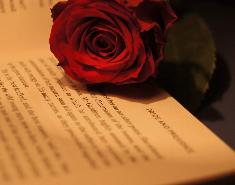 Red Rose on Book — Romantic, Night, Photograph