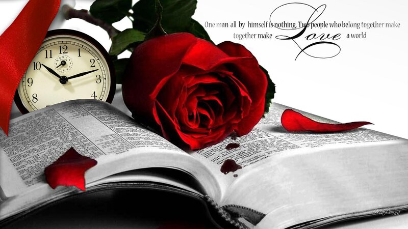 Red Rose on Book — Romantic, Photograph, Clock, Rose Petal
